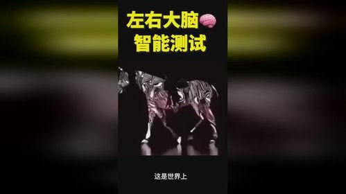 奇人异事热点爆料视频在线观看,揭秘神秘事件，热点爆料视频在线观看